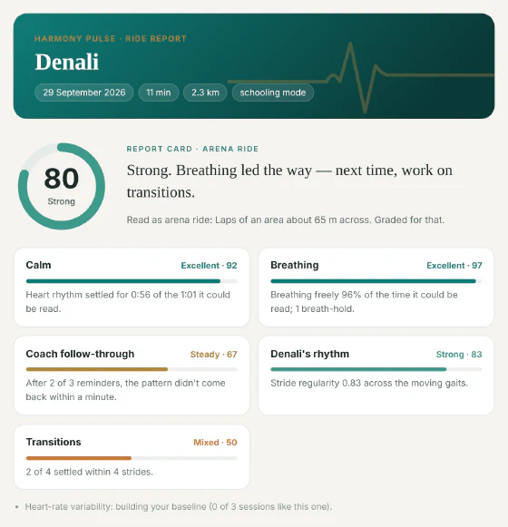 The top of a sample trainer report for Denali: an 11-minute schooling ride graded 80, Strong.
